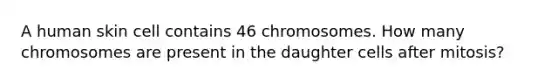 A human skin cell contains 46 chromosomes. How many chromosomes are present in the daughter cells after mitosis?