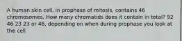 A human skin cell, in prophase of mitosis, contains 46 chromosomes. How many chromatids does it contain in total? 92 46 23 23 or 46, depending on when during prophase you look at the cell