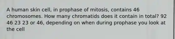 A human skin cell, in prophase of mitosis, contains 46 chromosomes. How many chromatids does it contain in total? 92 46 23 23 or 46, depending on when during prophase you look at the cell