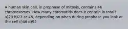 A human skin cell, in prophase of mitosis, contains 46 chromosomes. How many chromatids does it contain in total? a)23 b)23 or 46, depending on when during prophase you look at the cell c)46 d)92