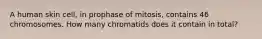 A human skin cell, in prophase of mitosis, contains 46 chromosomes. How many chromatids does it contain in total?