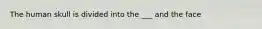 The human skull is divided into the ___ and the face