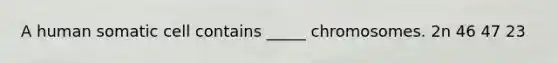 A human somatic cell contains _____ chromosomes. 2n 46 47 23
