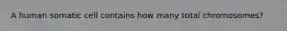A human somatic cell contains how many total chromosomes?
