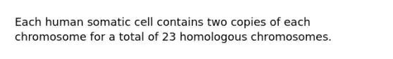 Each human somatic cell contains two copies of each chromosome for a total of 23 homologous chromosomes.