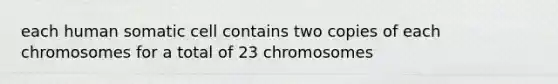 each human somatic cell contains two copies of each chromosomes for a total of 23 chromosomes