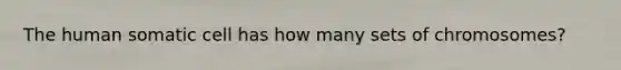 The human somatic cell has how many sets of chromosomes?