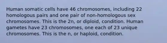 Human somatic cells have 46 chromosomes, including 22 homologous pairs and one pair of non-homologous sex chromosomes. This is the 2n, or diploid, condition. Human gametes have 23 chromosomes, one each of 23 unique chromosomes. This is the n, or haploid, condition.