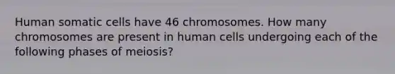 Human somatic cells have 46 chromosomes. How many chromosomes are present in human cells undergoing each of the following phases of meiosis?