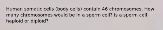 Human somatic cells (body cells) contain 46 chromosomes. How many chromosomes would be in a sperm cell? Is a sperm cell haploid or diploid?