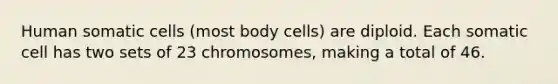 Human somatic cells (most body cells) are diploid. Each somatic cell has two sets of 23 chromosomes, making a total of 46.