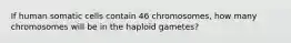 If human somatic cells contain 46 chromosomes, how many chromosomes will be in the haploid gametes?