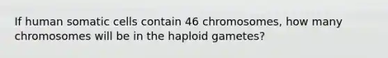 If human somatic cells contain 46 chromosomes, how many chromosomes will be in the haploid gametes?