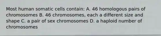 Most human somatic cells contain: A. 46 homologous pairs of chromosomes B. 46 chromosomes, each a different size and shape C. a pair of sex chromosomes D. a haploid number of chromosomes