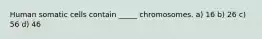 Human somatic cells contain _____ chromosomes.​ a) ​16 b) ​26 c) ​56 d) ​46