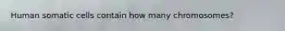 Human somatic cells contain how many chromosomes?