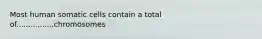 Most human somatic cells contain a total of................chromosomes