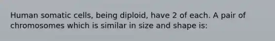 Human somatic cells, being diploid, have 2 of each. A pair of chromosomes which is similar in size and shape is: