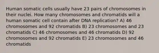 Human somatic cells usually have 23 pairs of chromosomes in their nuclei. How many chromosomes and chromatids will a human somatic cell contain after DNA replication? A) 46 chromosomes and 92 chromatids B) 23 chromosomes and 23 chromatids C) 46 chromosomes and 46 chromatids D) 92 chromosomes and 92 chromatids E) 23 chromosomes and 46 chromatids