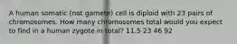 A human somatic (not gamete) cell is diploid with 23 pairs of chromosomes. How many chromosomes total would you expect to find in a human zygote in total? 11.5 23 46 92