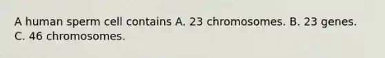 A human sperm cell contains A. 23 chromosomes. B. 23 genes. C. 46 chromosomes.