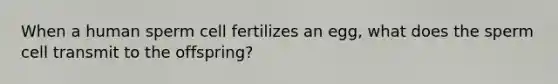 When a human sperm cell fertilizes an egg, what does the sperm cell transmit to the offspring?