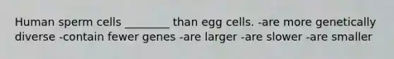 Human sperm cells ________ than egg cells. -are more genetically diverse -contain fewer genes -are larger -are slower -are smaller