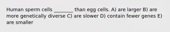 Human sperm cells ________ than egg cells. A) are larger B) are more genetically diverse C) are slower D) contain fewer genes E) are smaller