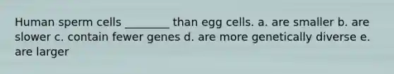 Human sperm cells ________ than egg cells. a. are smaller b. are slower c. contain fewer genes d. are more genetically diverse e. are larger