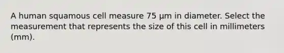 A human squamous cell measure 75 µm in diameter. Select the measurement that represents the size of this cell in millimeters (mm).