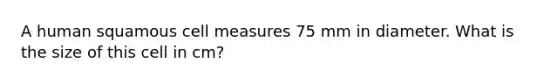 A human squamous cell measures 75 mm in diameter. What is the size of this cell in cm?