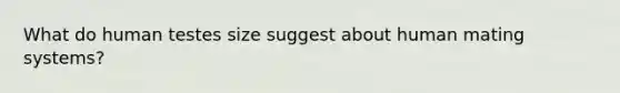 What do human testes size suggest about human mating systems?