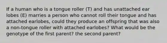 If a human who is a tongue roller (T) and has unattached ear lobes (E) marries a person who cannot roll their tongue and has attached earlobes, could they produce an offspring that was also a non-tongue roller with attached earlobes? What would be the genotype of the first parent? the second parent?