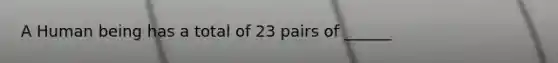 A Human being has a total of 23 pairs of ______