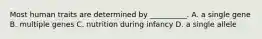 Most human traits are determined by __________. A. a single gene B. multiple genes C. nutrition during infancy D. a single allele