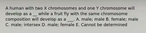 A human with two X chromosomes and one Y chromosome will develop as a __ while a fruit fly with the same chromosome composition will develop as a ___. A. male; male B. female; male C. male; intersex D. male; female E. Cannot be determined