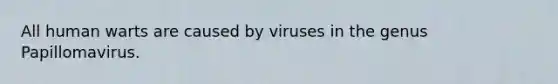 All human warts are caused by viruses in the genus Papillomavirus.