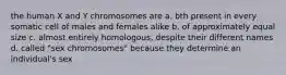 the human X and Y chromosomes are a. bth present in every somatic cell of males and females alike b. of approximately equal size c. almost entirely homologous, despite their different names d. called "sex chromosomes" because they determine an individual's sex