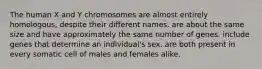 The human X and Y chromosomes are almost entirely homologous, despite their different names. are about the same size and have approximately the same number of genes. include genes that determine an individual's sex. are both present in every somatic cell of males and females alike.