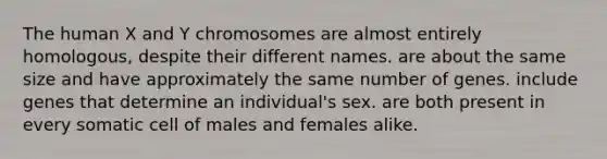 The human X and Y chromosomes are almost entirely homologous, despite their different names. are about the same size and have approximately the same number of genes. include genes that determine an individual's sex. are both present in every somatic cell of males and females alike.