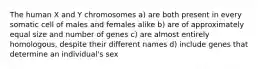 The human X and Y chromosomes a) are both present in every somatic cell of males and females alike b) are of approximately equal size and number of genes c) are almost entirely homologous, despite their different names d) include genes that determine an individual's sex