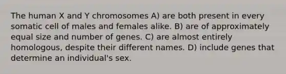 The human X and Y chromosomes A) are both present in every somatic cell of males and females alike. B) are of approximately equal size and number of genes. C) are almost entirely homologous, despite their different names. D) include genes that determine an individual's sex.