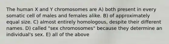 The human X and Y chromosomes are A) both present in every somatic cell of males and females alike. B) of approximately equal size. C) almost entirely homologous, despite their different names. D) called "sex chromosomes" because they determine an individual's sex. E) all of the above