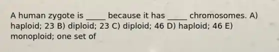 A human zygote is _____ because it has _____ chromosomes. A) haploid; 23 B) diploid; 23 C) diploid; 46 D) haploid; 46 E) monoploid; one set of