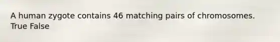 A human zygote contains 46 matching pairs of chromosomes. True False