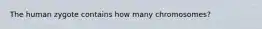 The human zygote contains how many chromosomes?