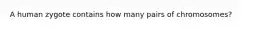 A human zygote contains how many pairs of chromosomes?