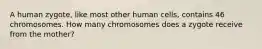 A human zygote, like most other human cells, contains 46 chromosomes. How many chromosomes does a zygote receive from the mother?