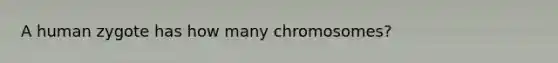 A human zygote has how many chromosomes?