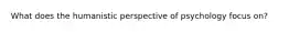 What does the humanistic perspective of psychology focus on?